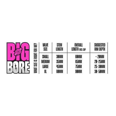 Muc-Off Big Bore Hybrid 30mm Schrader Valve Kit